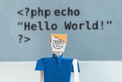 PHP si colloca dietro i linguaggi di programmazione della famiglia C in termini di popolarità (Fonte: KOBU Agency on Unsplash)