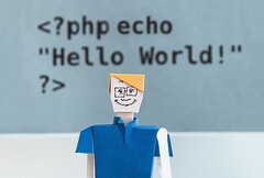 PHP si colloca dietro i linguaggi di programmazione della famiglia C in termini di popolarità (Fonte: KOBU Agency on Unsplash)