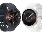 Sono trapelate nuove informazioni sulle specifiche tecniche sia del Galaxy Watch9 che del Galaxy Watch Ultra 2 di Samsung.