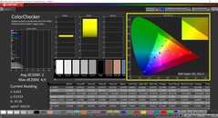 CalMAN ColorChecker (profilo Schenker)