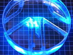 Il robot bioibrido è illuminato dalla luce.