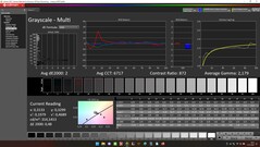 CalMAN: scale di grigi (calibrate)