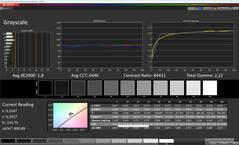 Scale di grigi (Colore: Professionale, temperatura del colore: Caldo, spazio colore target: sRGB)