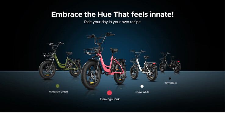 La bicicletta elettrica ENGWE L20 è disponibile in vari colori. (Fonte: ENGWE)