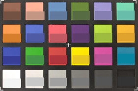 Colori ColorChecker. Colore di riferimento nella metà inferiore di ogni quadrato.