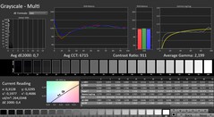 CalMAN: Scala di grigi (calibrata)