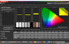CalMAN ColorChecker calibrato