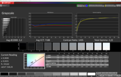 Scala di grigi CalMAN