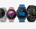 La serie Garmin Forerunner 255 è disponibile in numerose configurazioni, tra cui due dimensioni. (Fonte: Garmin)