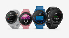 La serie Garmin Forerunner 255 è disponibile in numerose configurazioni, tra cui due dimensioni. (Fonte: Garmin)