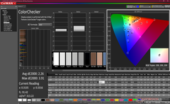 ColorChecker dopo la calibrazione