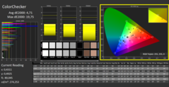 CalMAN - ColorChecker (calibrato)