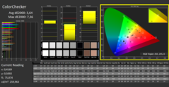 CalMAN - Color Checker (calibrato)