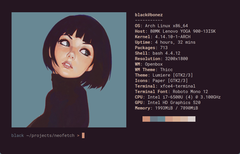Fino ad oggi, uno screenshot del proprio desktop Linux di solito includeva una finestra di terminale con Neofetch (Immagine: Dylan Araps/GitHub).