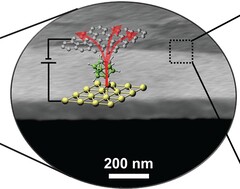 strato sottile come una molecola di 1 nm di transistor termici posizionati sopra i semiconduttori (Fonte immagine: Science)