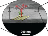 strato sottile come una molecola di 1 nm di transistor termici posizionati sopra i semiconduttori (Fonte immagine: Science)