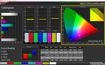Colorspace (bilanciamento del bianco: standard, gamma di colore: P3)