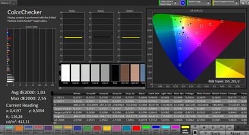 Precisione del colore (spazio colore di destinazione: sRGB; profilo: Standard)
