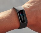 La funzione di notifica del ritmo cardiaco irregolare di Fitbit è stata introdotta in oltre 20 Paesi in tutto il mondo. (Fonte: Fitbit)