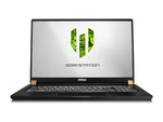 MSI WS75 9TL-496US