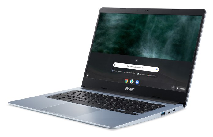 Acer Chromebook 315 